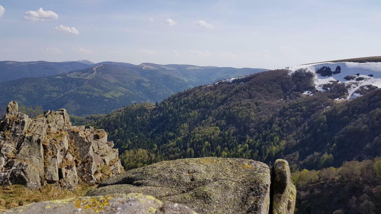 Les Dryades Gérardmer Exterior foto