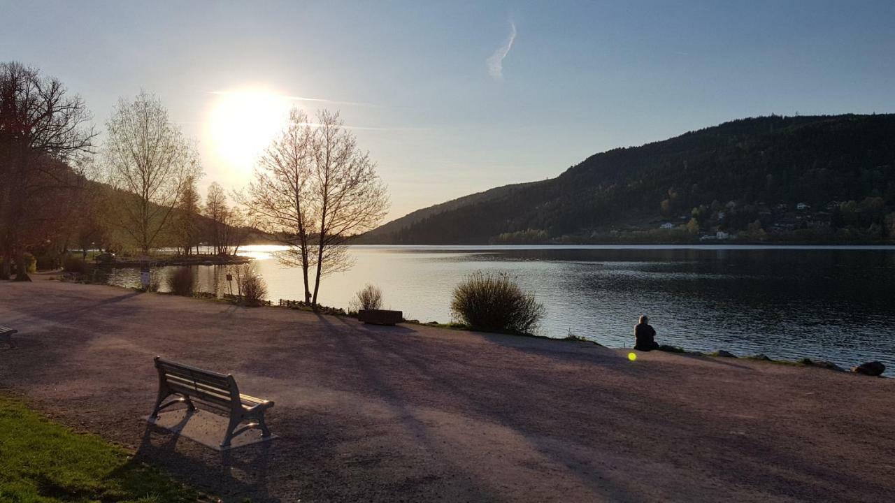 Les Dryades Gérardmer Exterior foto